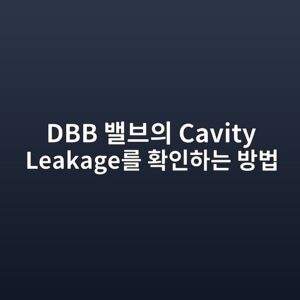 DBB 밸브의 Cavity Leakage를 확인하는 방법 6 dbb ebb0b8ebb88cec9d98 cavity leakageeba5bc ed9995ec9db8ed9598eb8a94 ebb0a9ebb295 1789277477