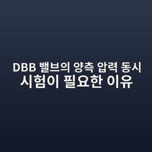 DBB 밸브의 양측 압력 동시 시험이 필요한 이유 3 dbb ebb0b8ebb88cec9d98 ec9691ecb8a1 ec9595eba0a5 eb8f99ec8b9c ec8b9ced9798ec9db4 ed9584ec9a94ed959c ec9db4ec9ca0 1789277345