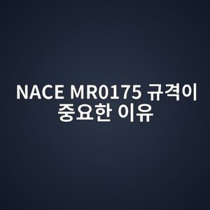 nace mr0175 eab79ceab2a9ec9db4 eca491ec9a94ed959c ec9db4ec9ca0 1788579904